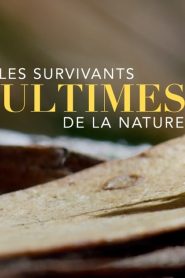 Nature’s Ultimate Survivors